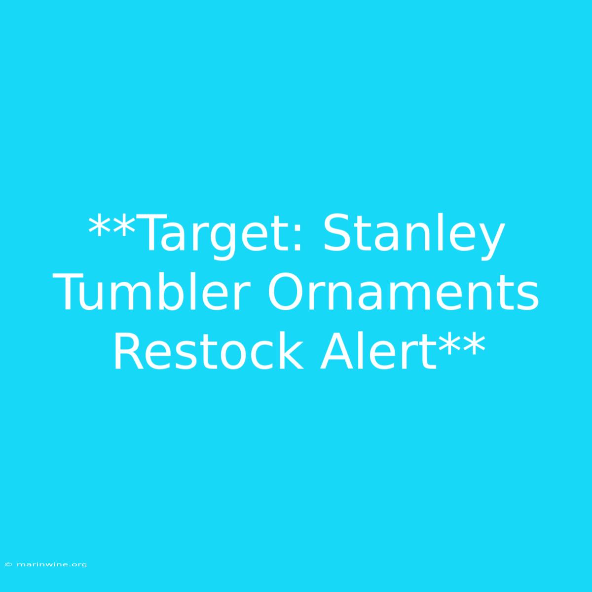 **Target: Stanley Tumbler Ornaments Restock Alert**