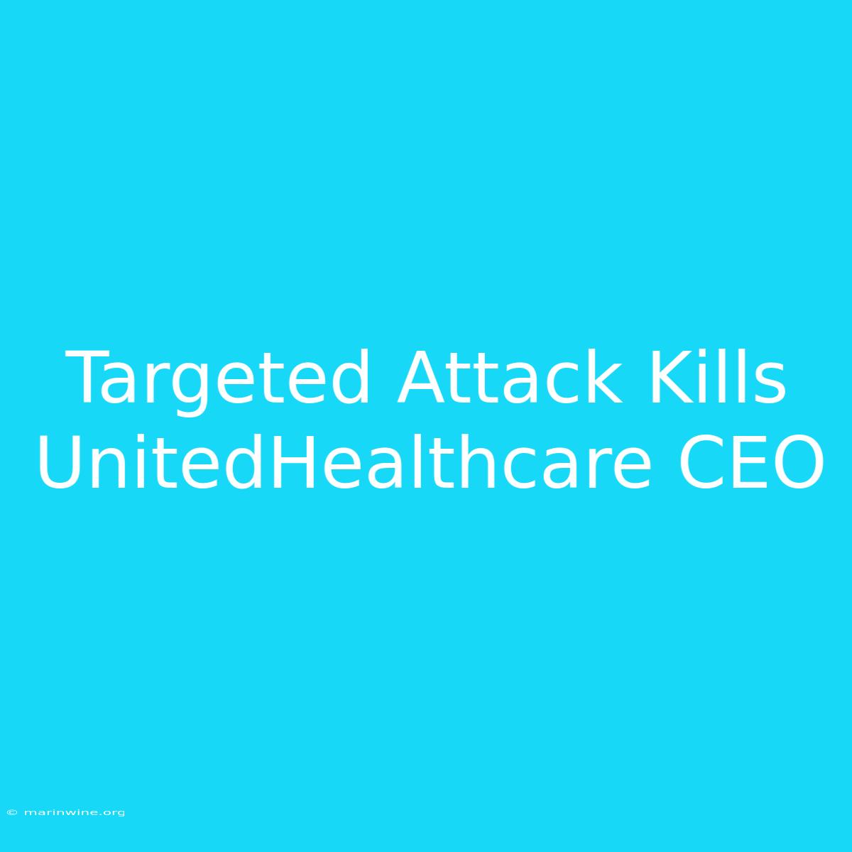 Targeted Attack Kills UnitedHealthcare CEO