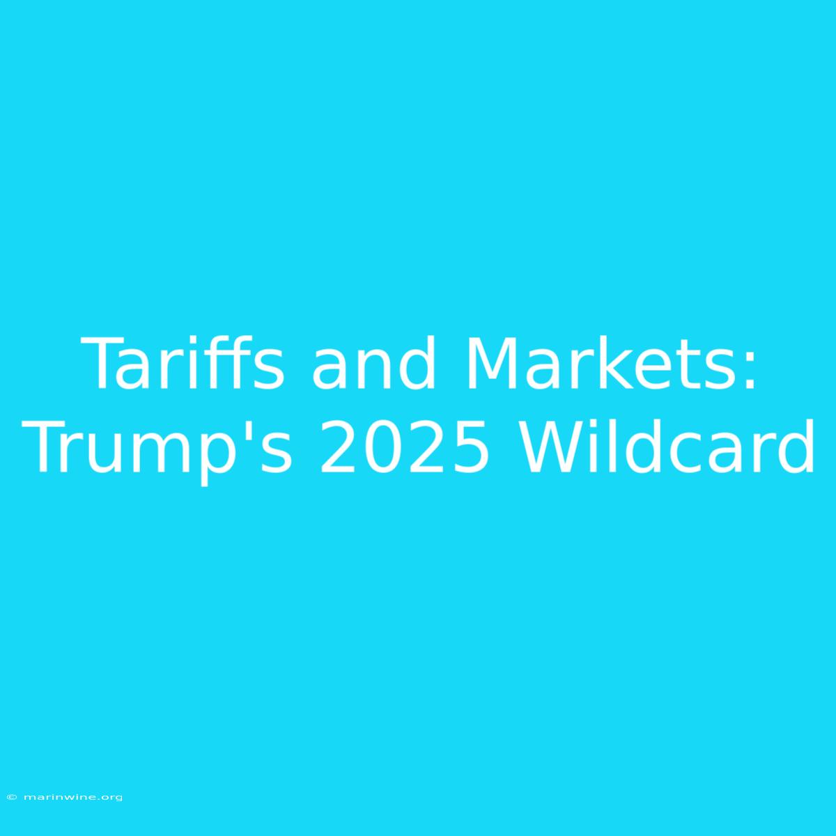 Tariffs And Markets: Trump's 2025 Wildcard