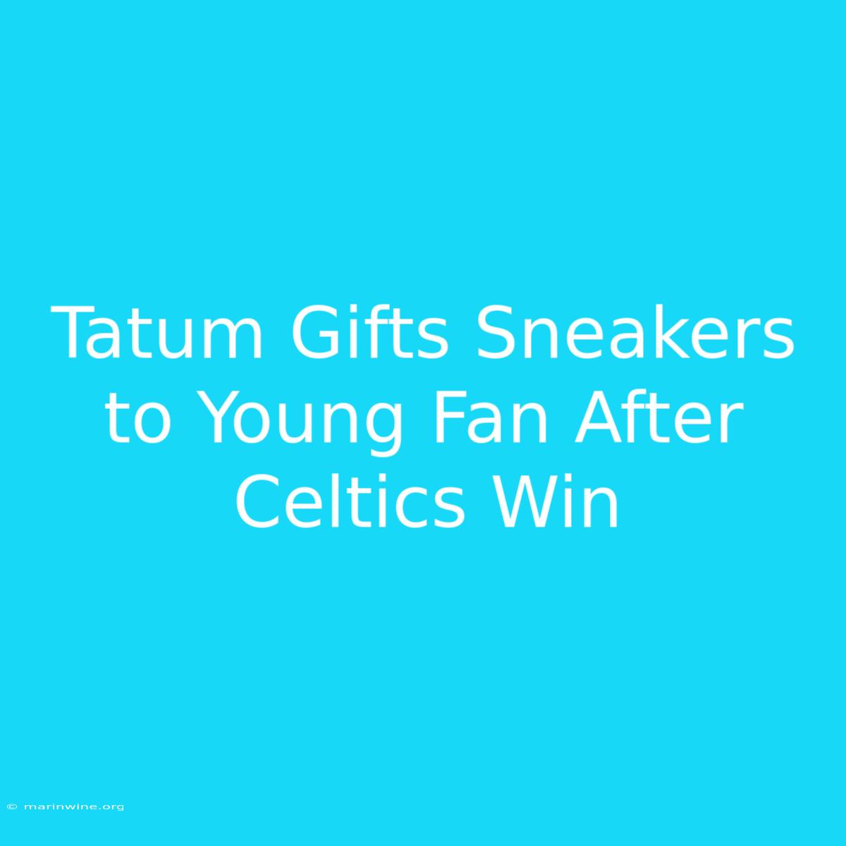 Tatum Gifts Sneakers To Young Fan After Celtics Win