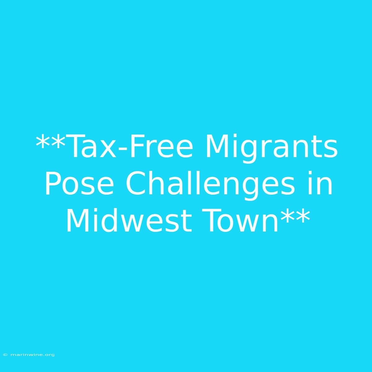 **Tax-Free Migrants Pose Challenges In Midwest Town** 