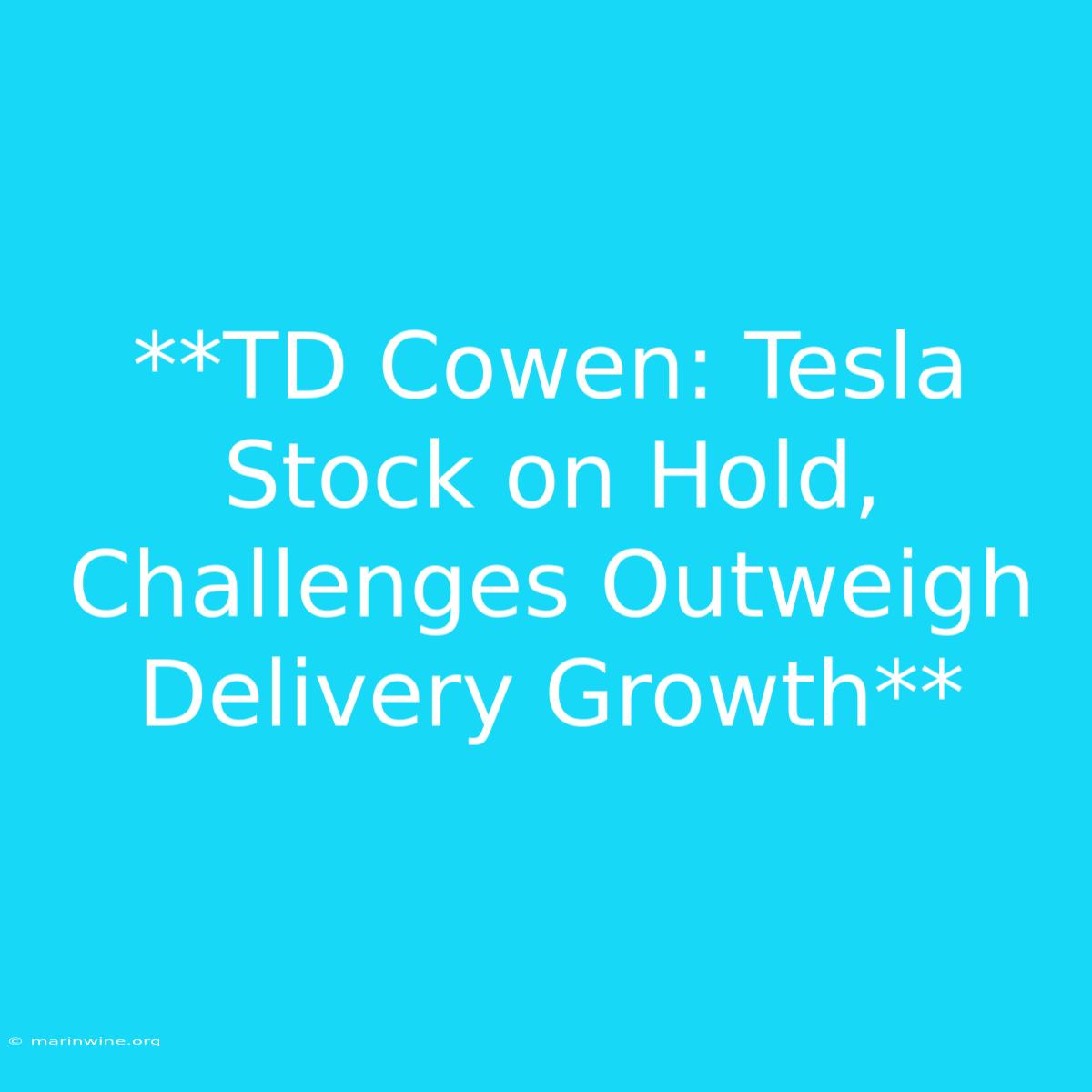 **TD Cowen: Tesla Stock On Hold, Challenges Outweigh Delivery Growth**