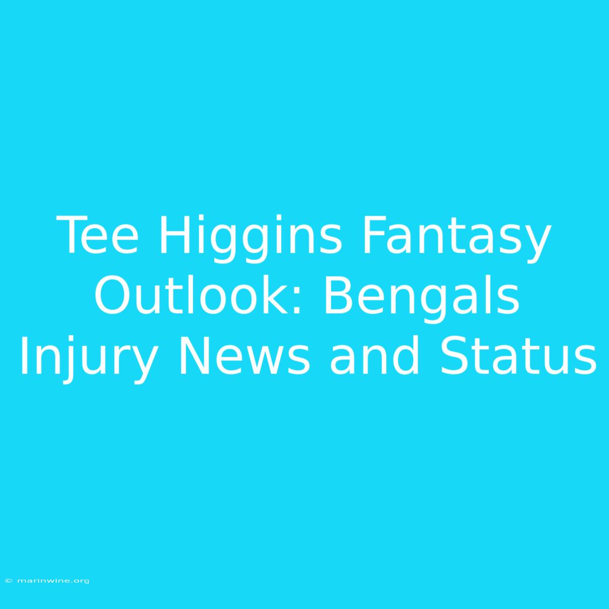 Tee Higgins Fantasy Outlook: Bengals Injury News And Status 