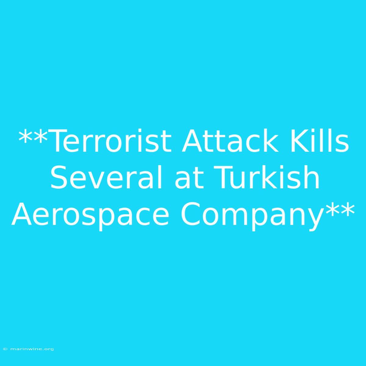 **Terrorist Attack Kills Several At Turkish Aerospace Company** 