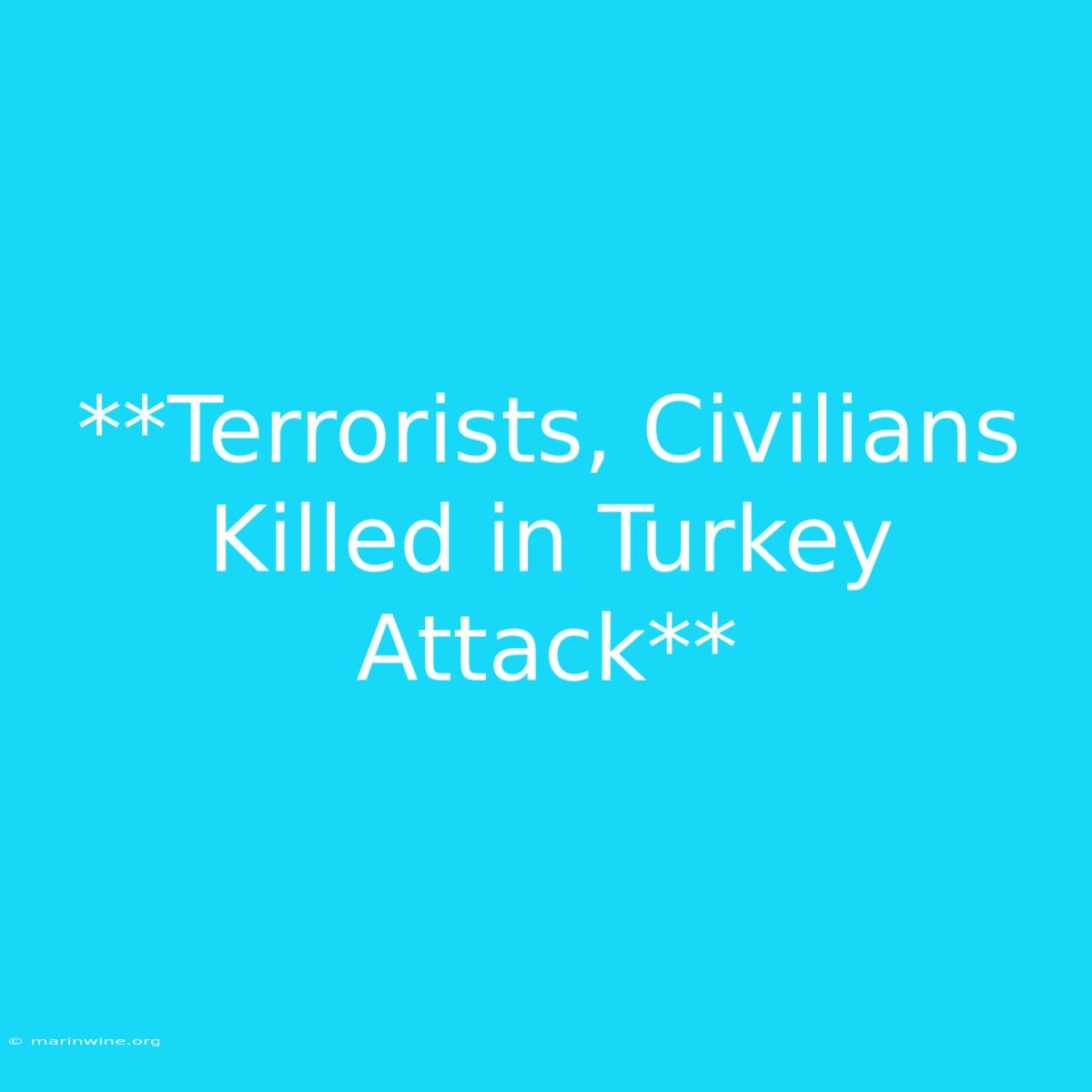 **Terrorists, Civilians Killed In Turkey Attack** 