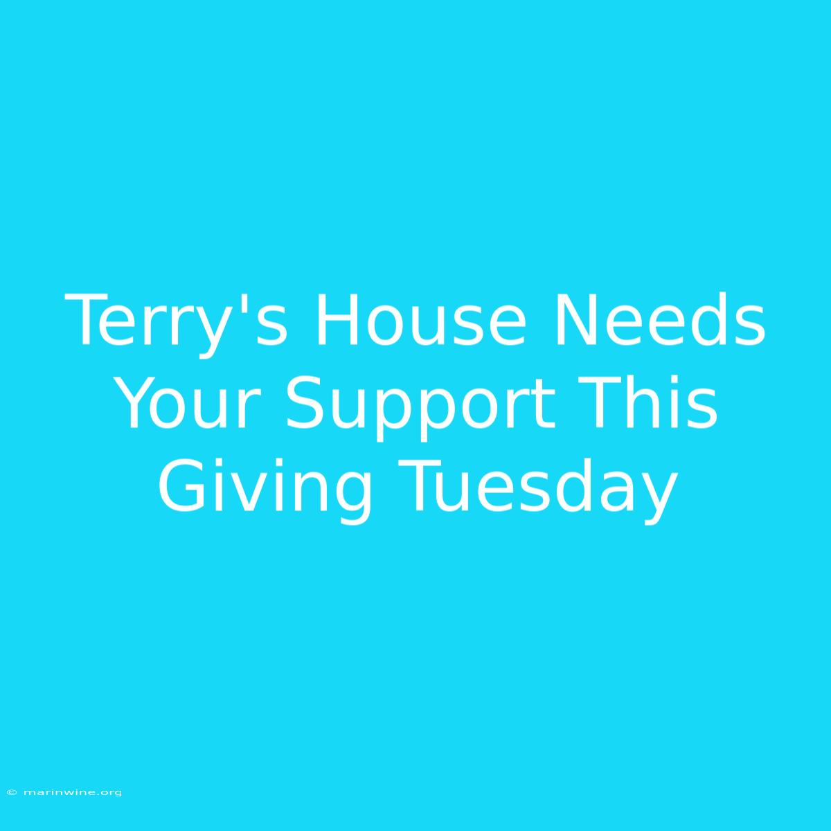 Terry's House Needs Your Support This Giving Tuesday