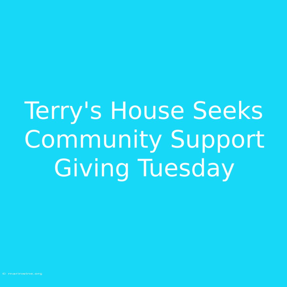 Terry's House Seeks Community Support Giving Tuesday