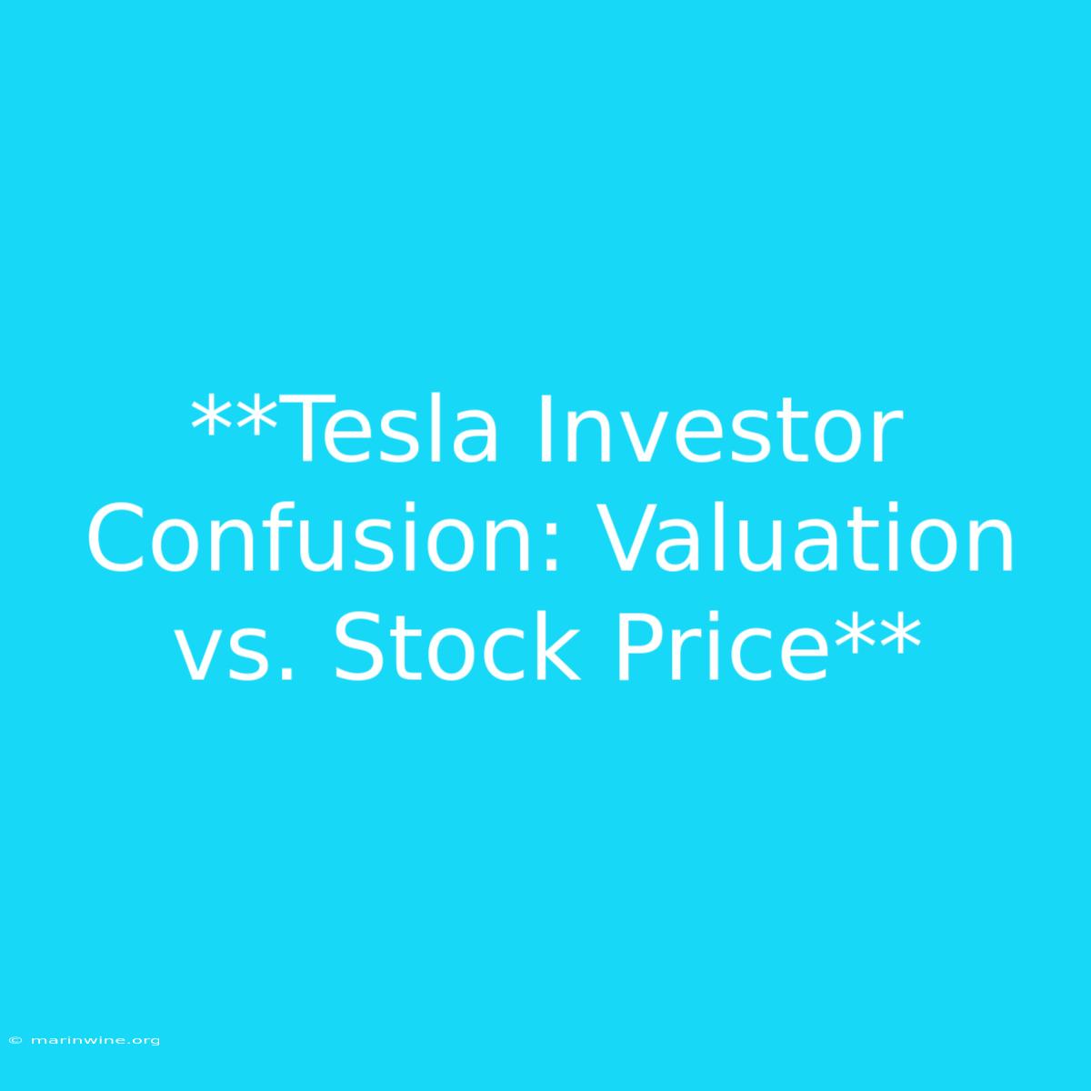 **Tesla Investor Confusion: Valuation Vs. Stock Price**