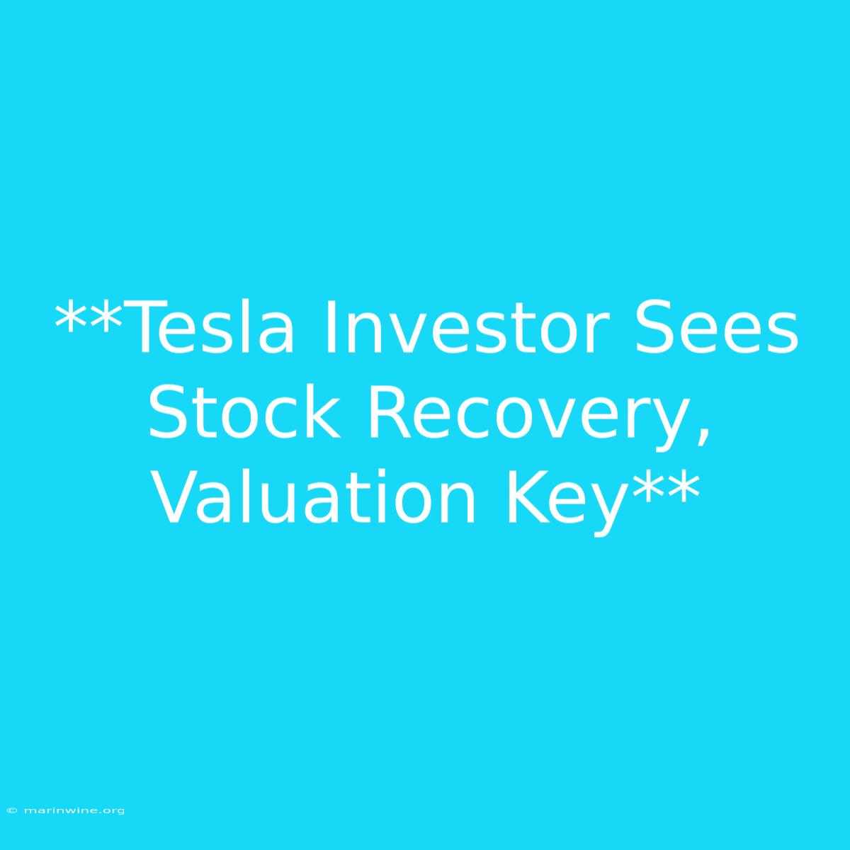 **Tesla Investor Sees Stock Recovery, Valuation Key**