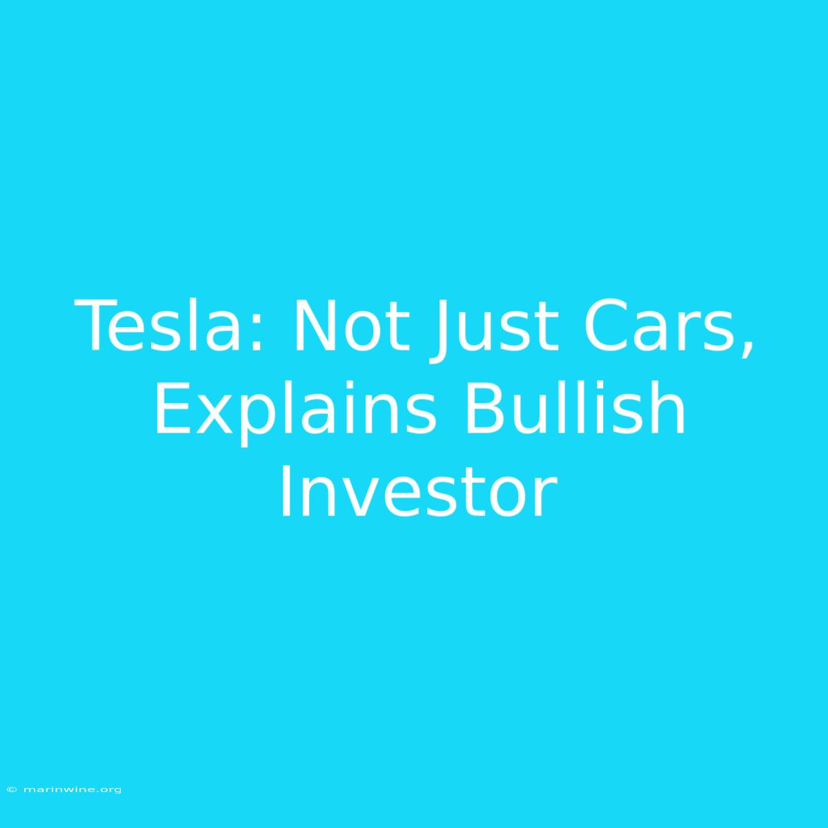 Tesla: Not Just Cars, Explains Bullish Investor