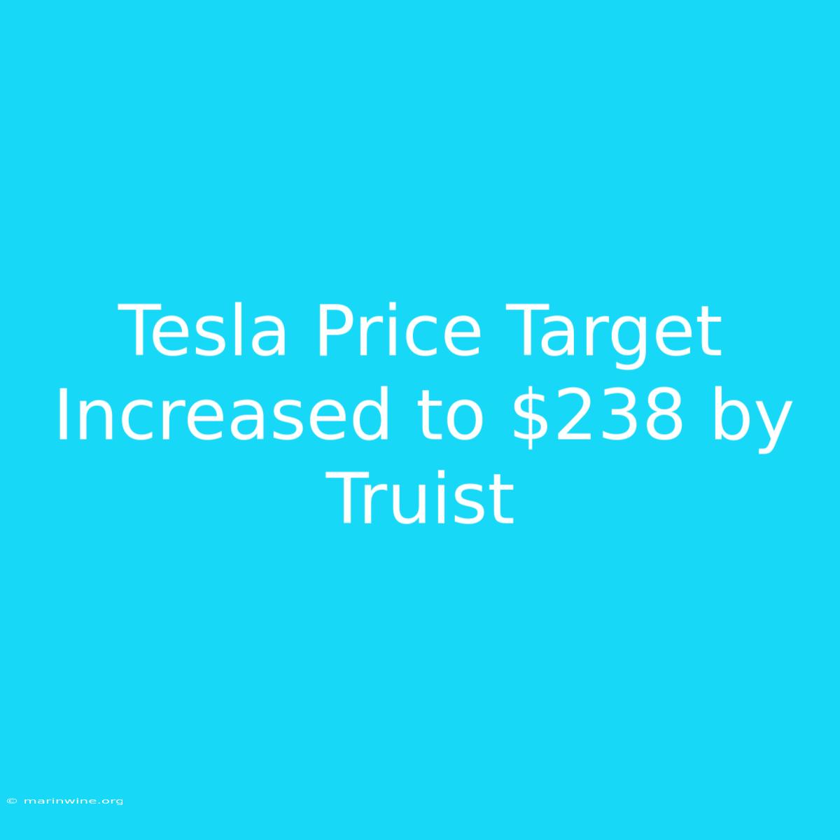 Tesla Price Target Increased To $238 By Truist