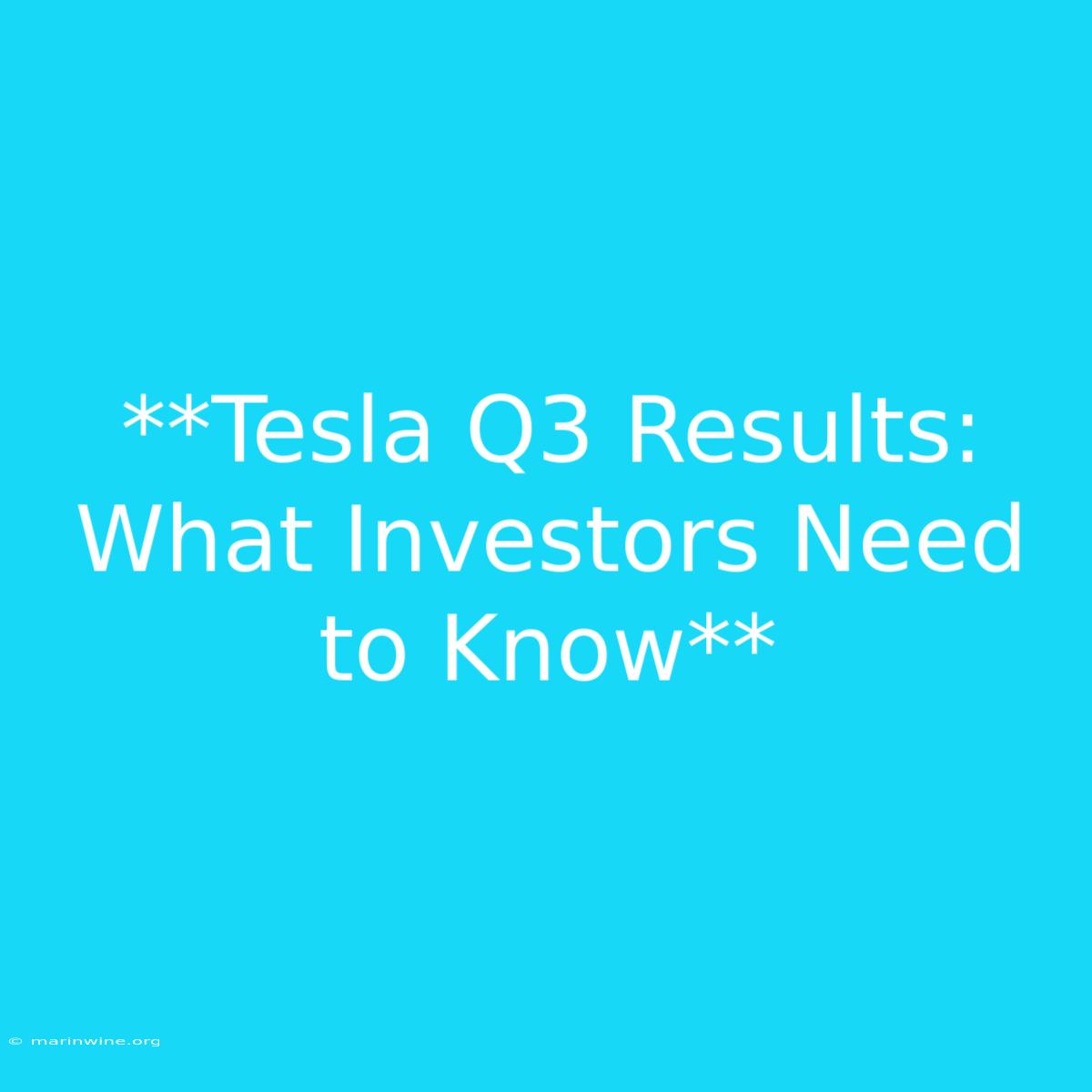 **Tesla Q3 Results: What Investors Need To Know**