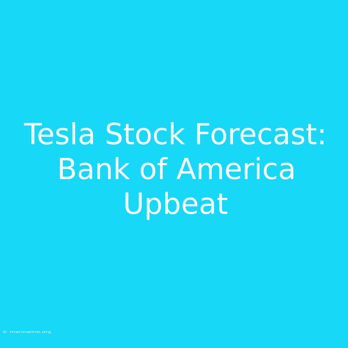 Tesla Stock Forecast: Bank Of America Upbeat