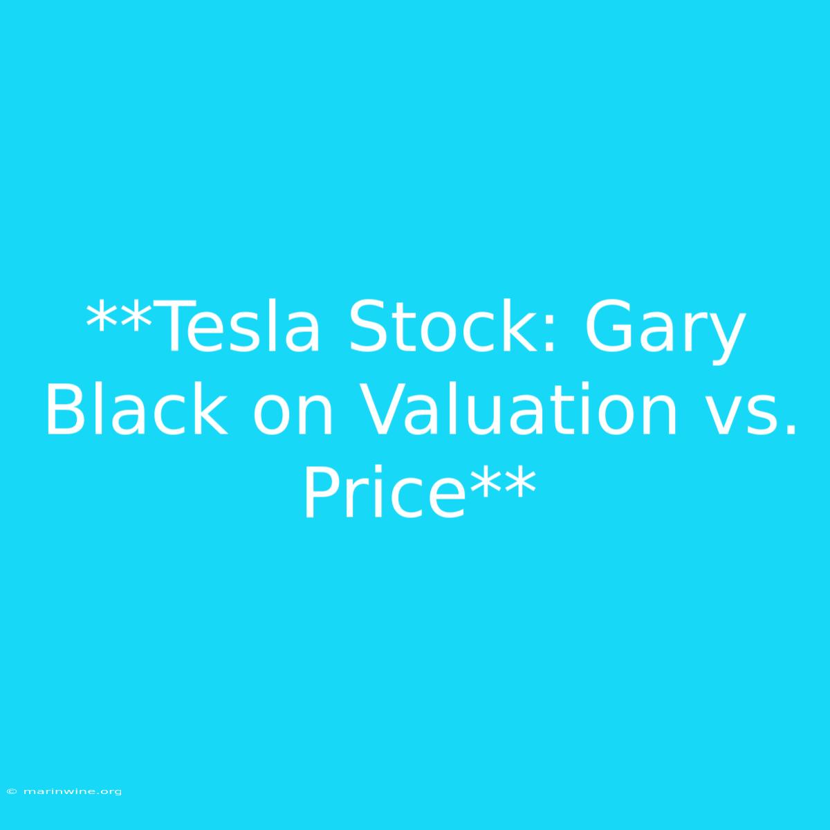 **Tesla Stock: Gary Black On Valuation Vs. Price**