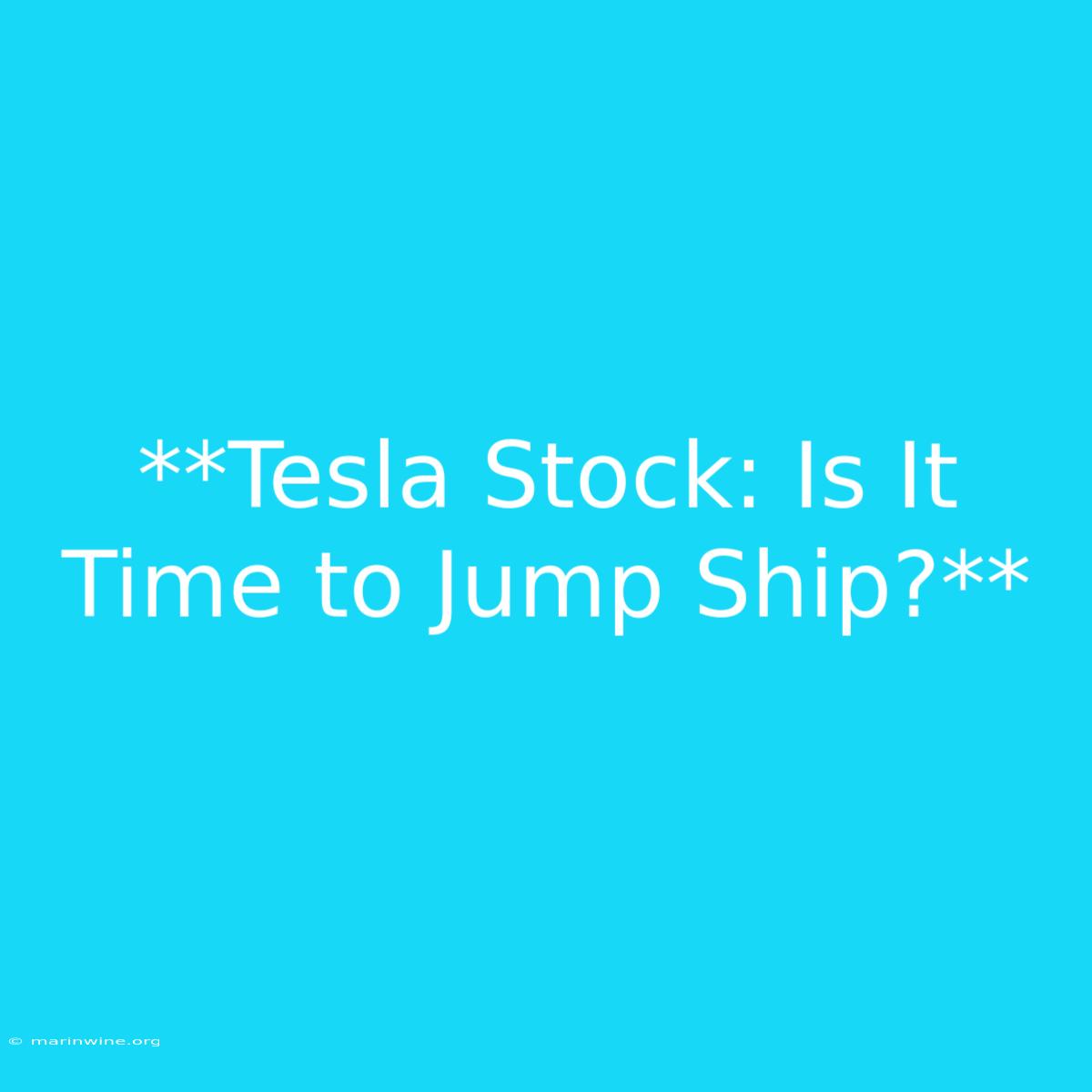 **Tesla Stock: Is It Time To Jump Ship?** 