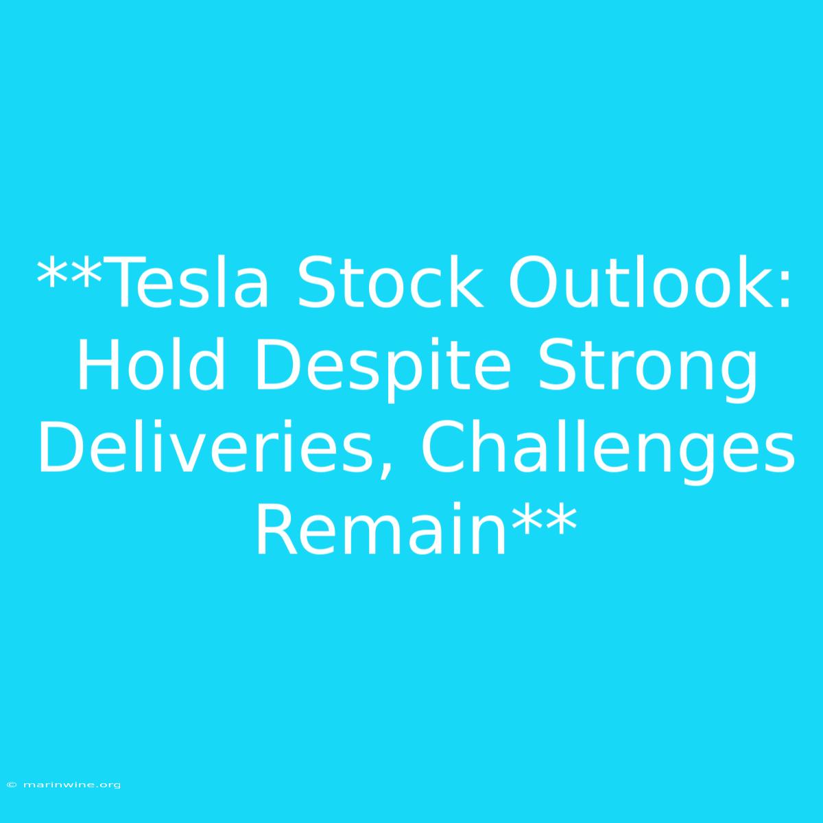 **Tesla Stock Outlook: Hold Despite Strong Deliveries, Challenges Remain** 