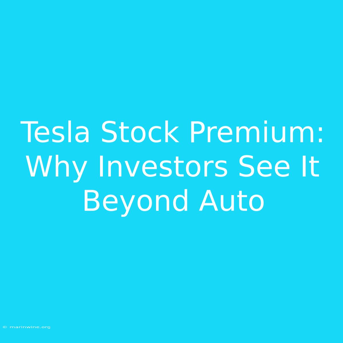 Tesla Stock Premium: Why Investors See It Beyond Auto