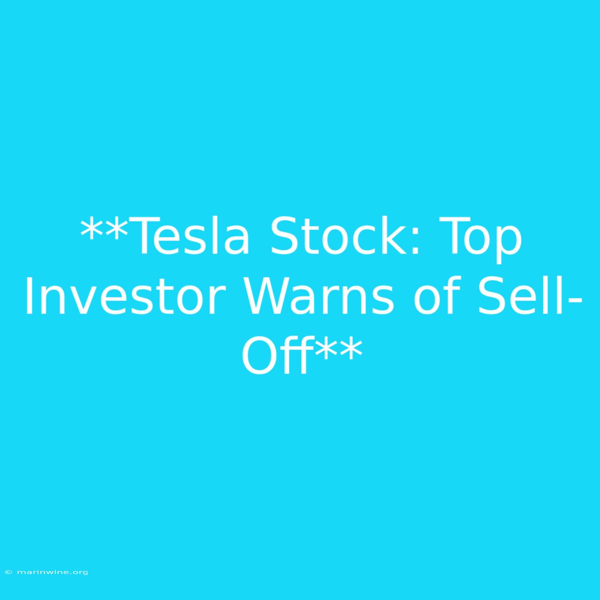 **Tesla Stock: Top Investor Warns Of Sell-Off**