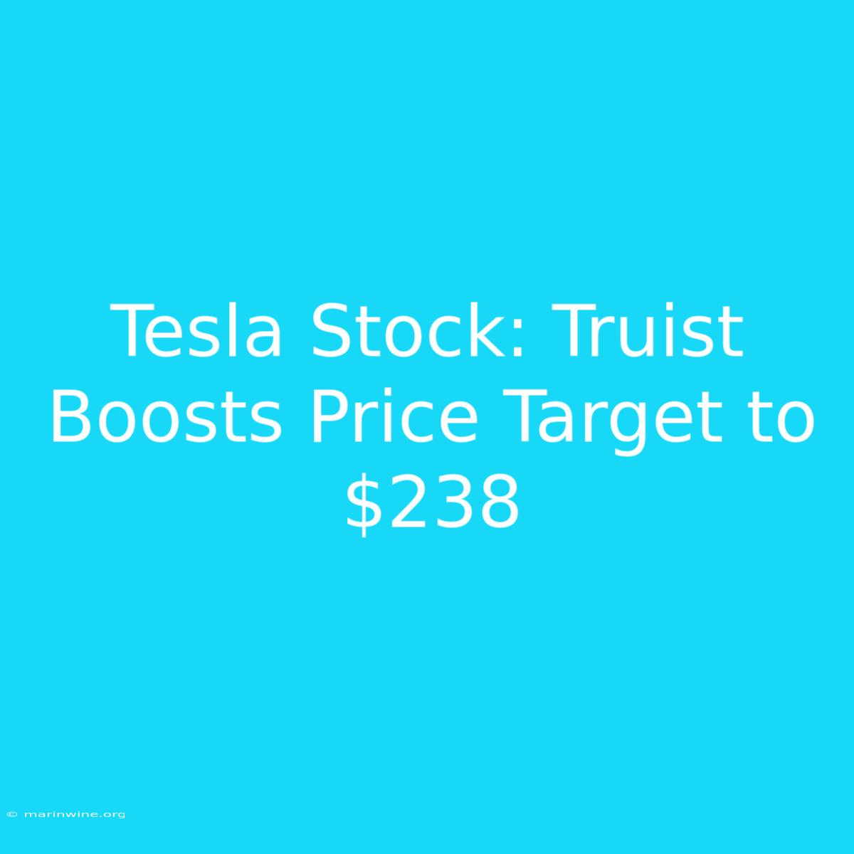 Tesla Stock: Truist Boosts Price Target To $238 