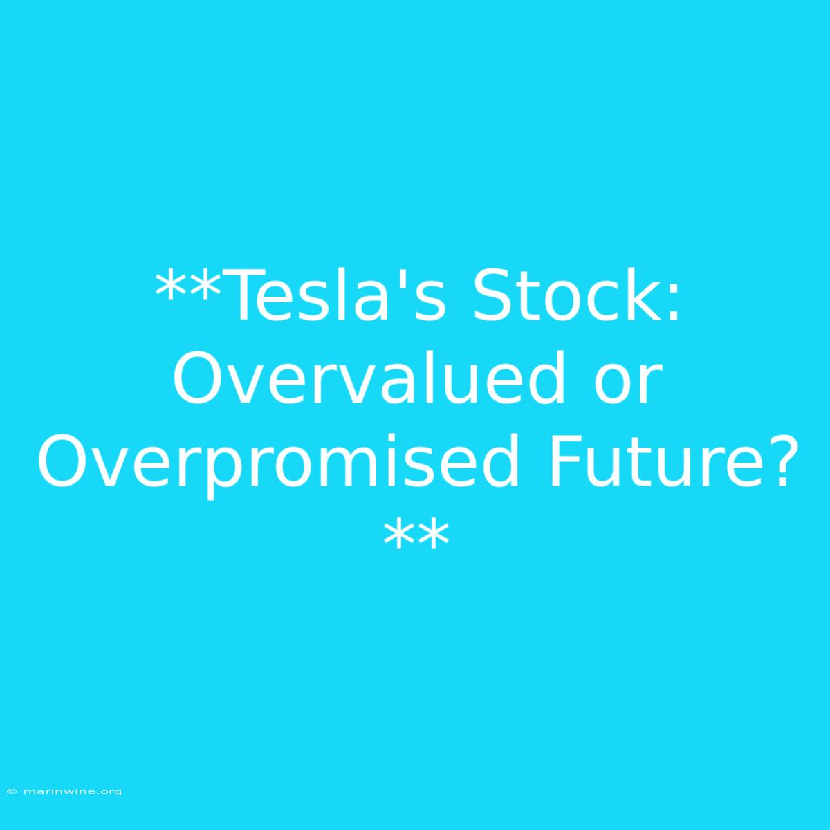 **Tesla's Stock: Overvalued Or Overpromised Future?**