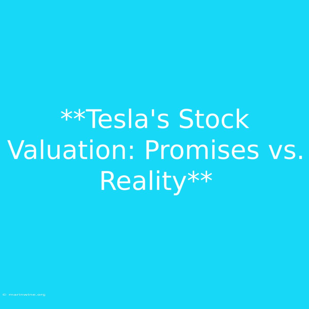 **Tesla's Stock Valuation: Promises Vs. Reality**