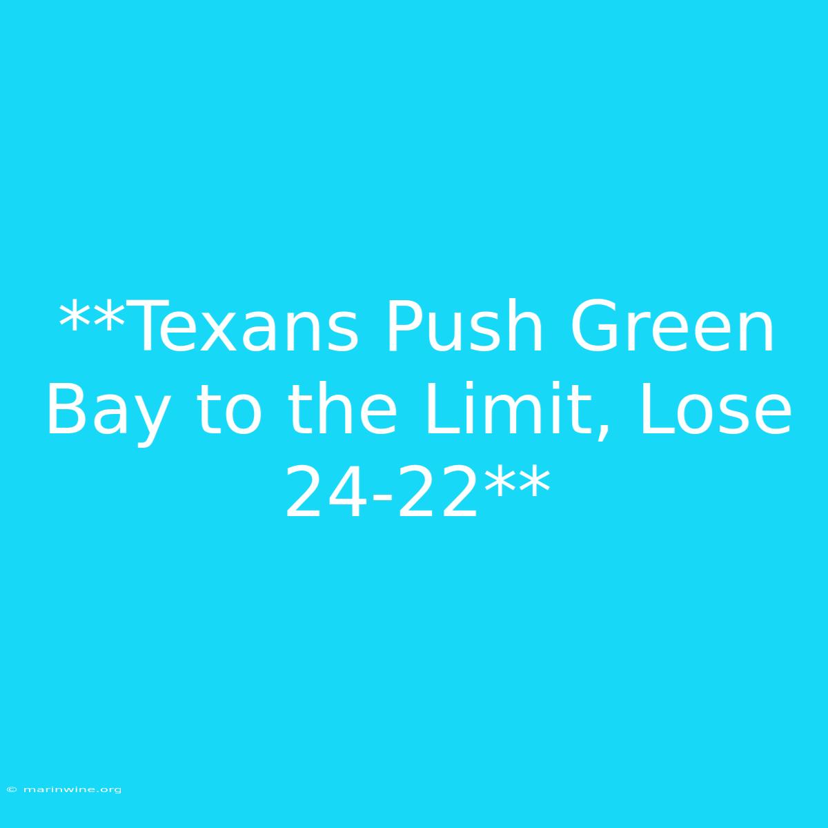 **Texans Push Green Bay To The Limit, Lose 24-22** 