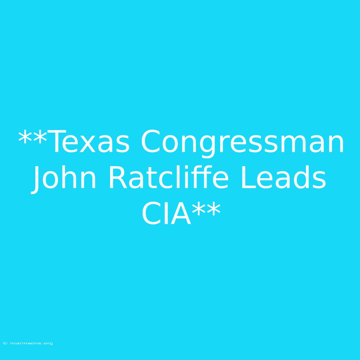 **Texas Congressman John Ratcliffe Leads CIA** 