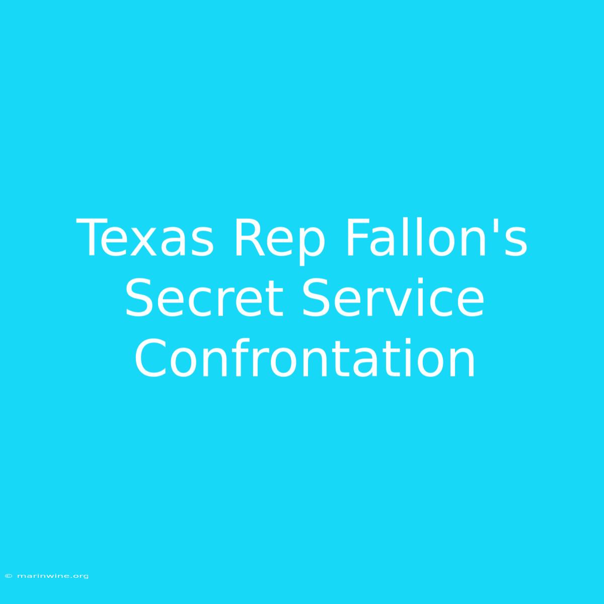 Texas Rep Fallon's Secret Service Confrontation