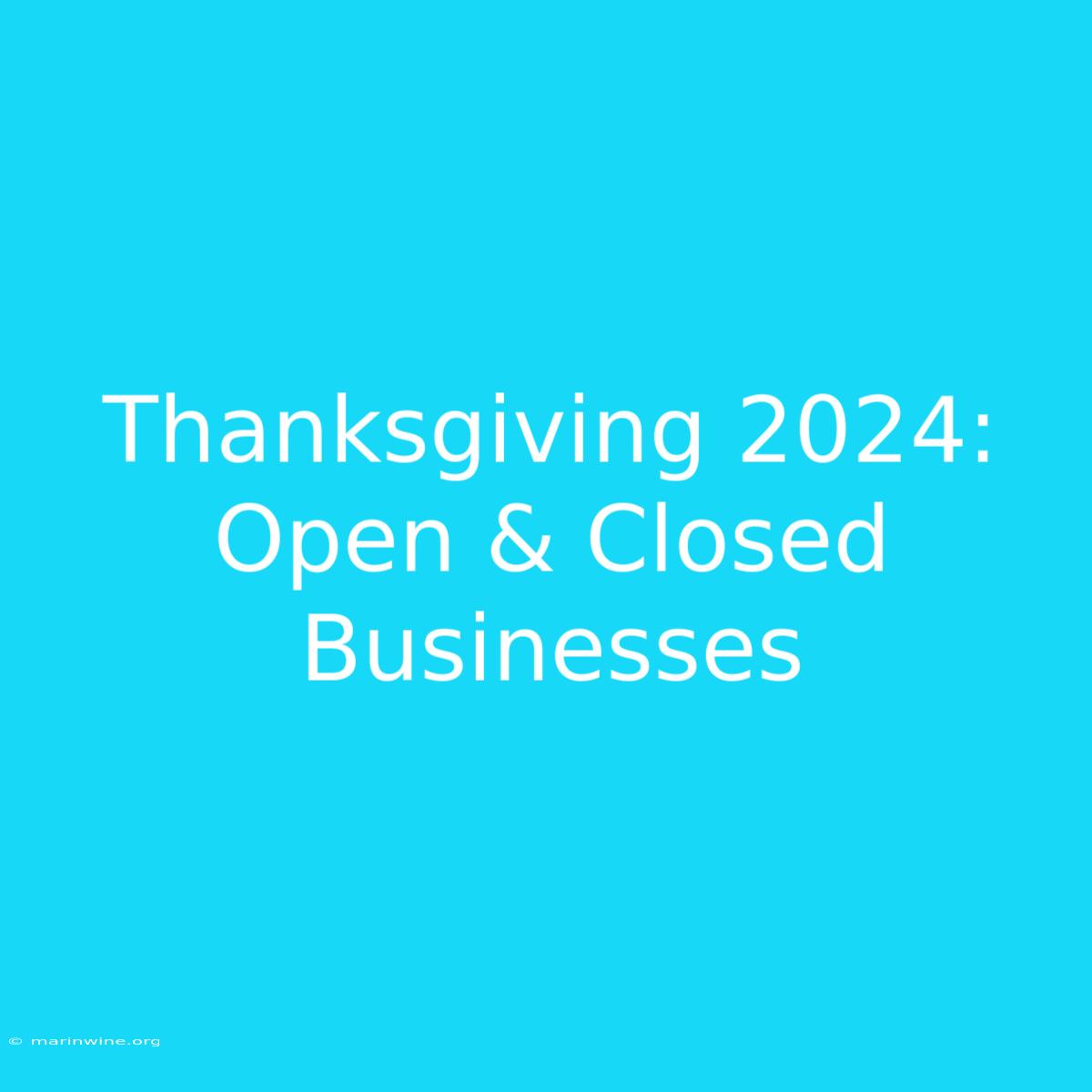 Thanksgiving 2024: Open & Closed Businesses