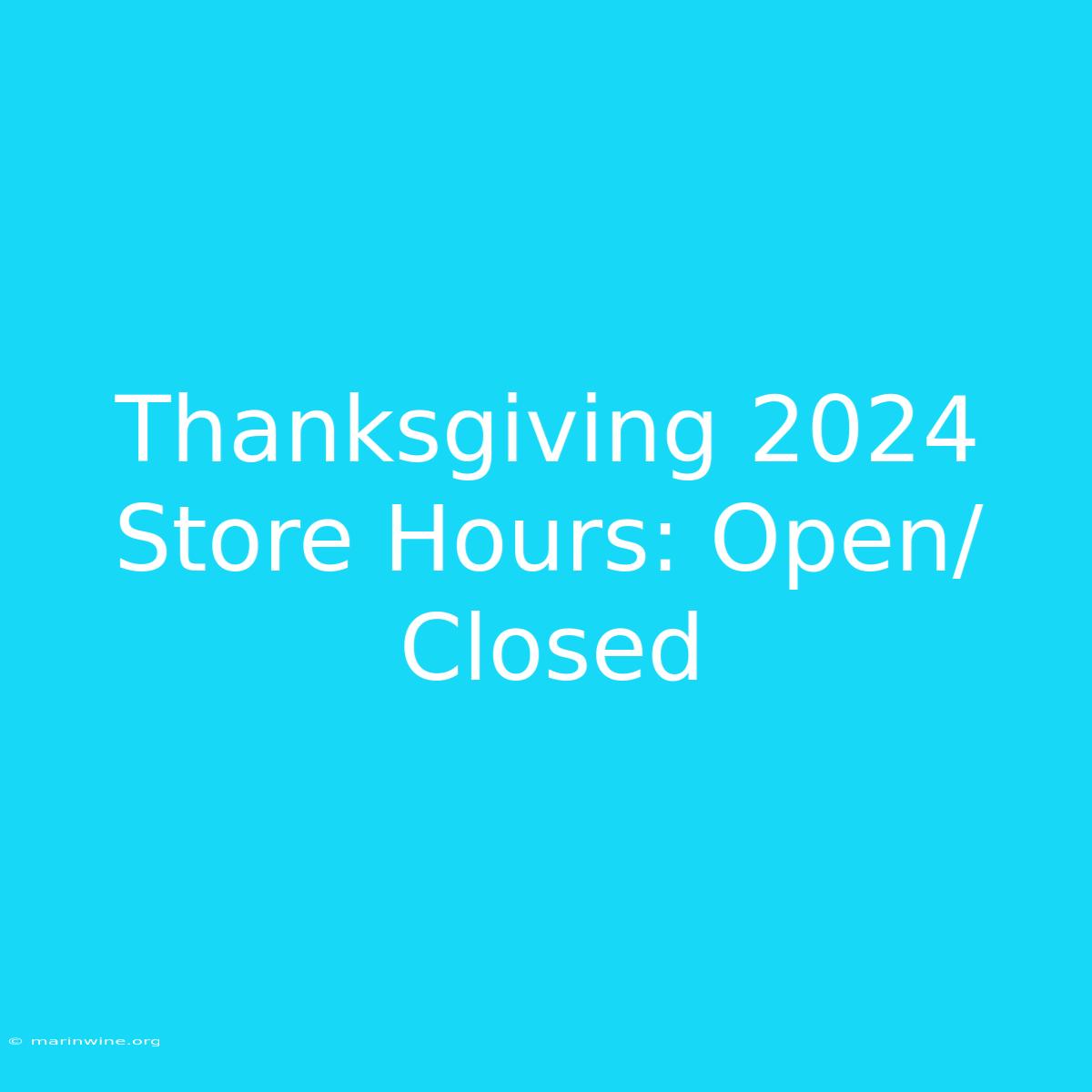 Thanksgiving 2024 Store Hours: Open/Closed