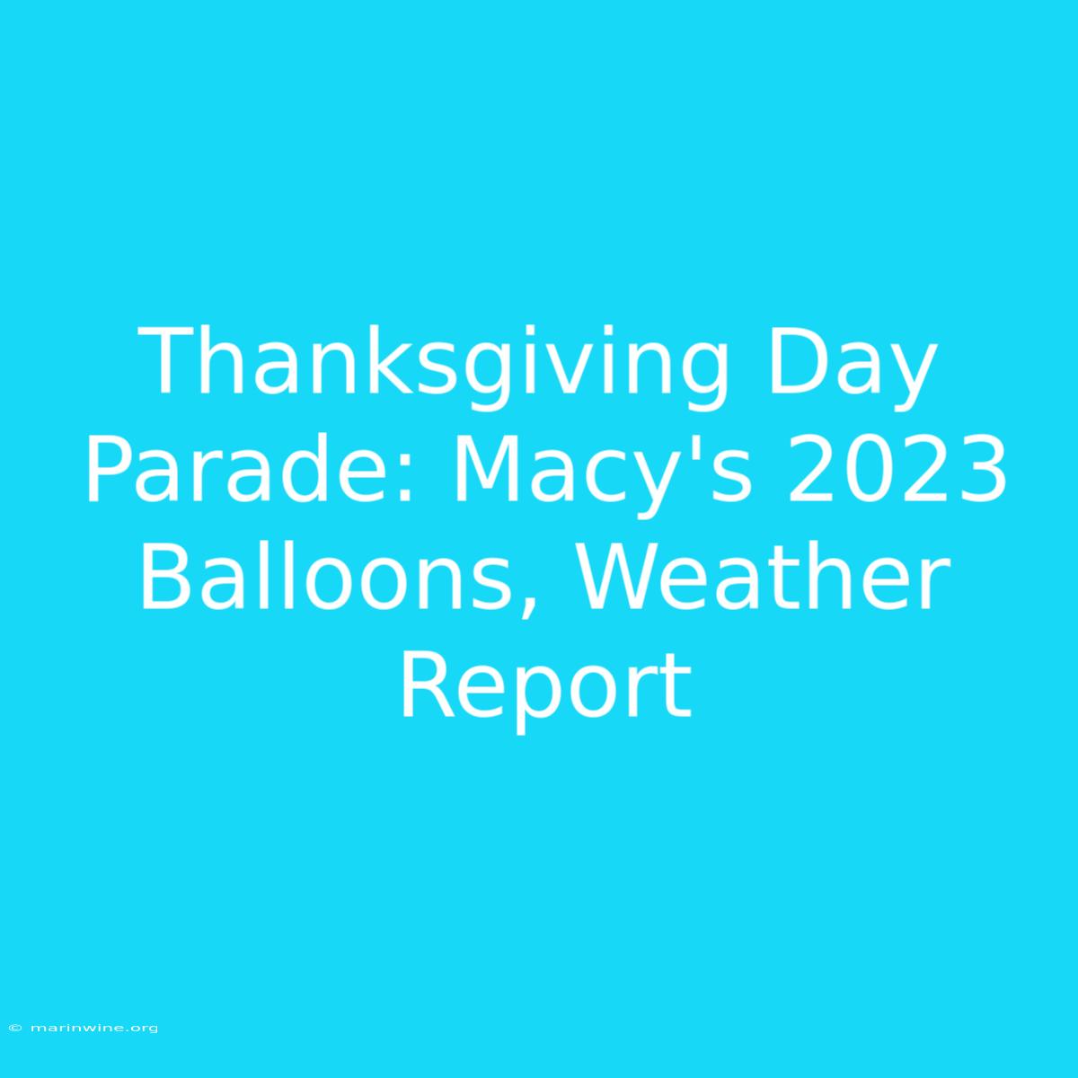 Thanksgiving Day Parade: Macy's 2023 Balloons, Weather Report