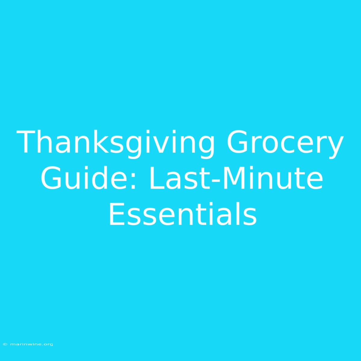 Thanksgiving Grocery Guide: Last-Minute Essentials