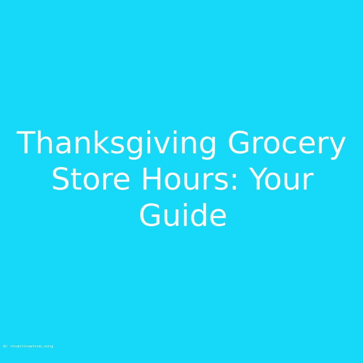 Thanksgiving Grocery Store Hours: Your Guide