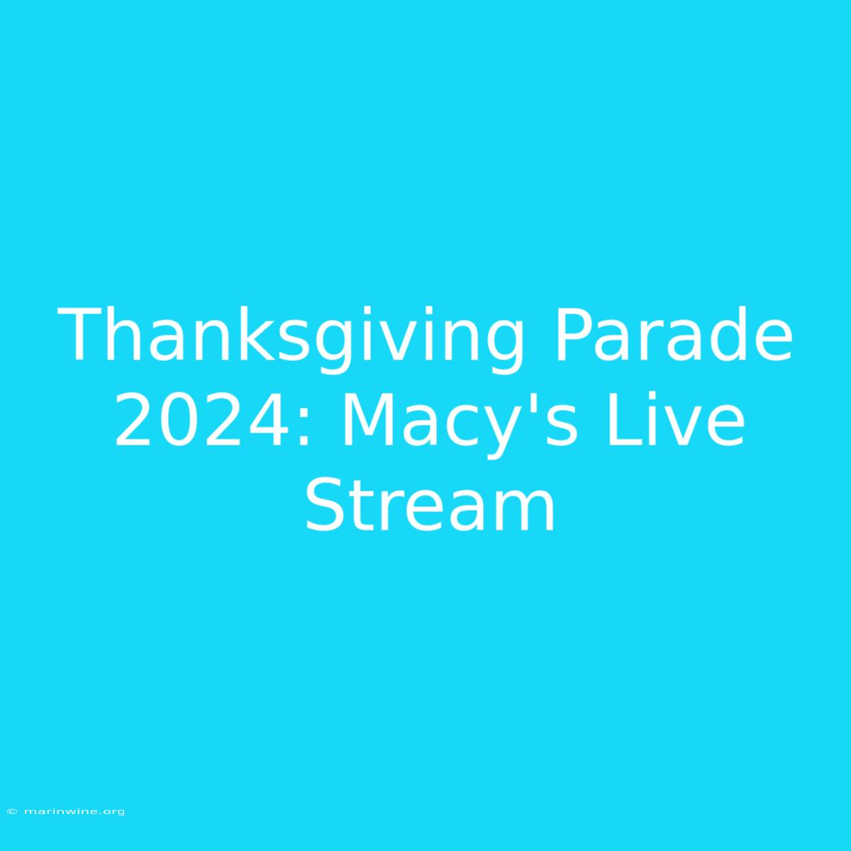 Thanksgiving Parade 2024: Macy's Live Stream