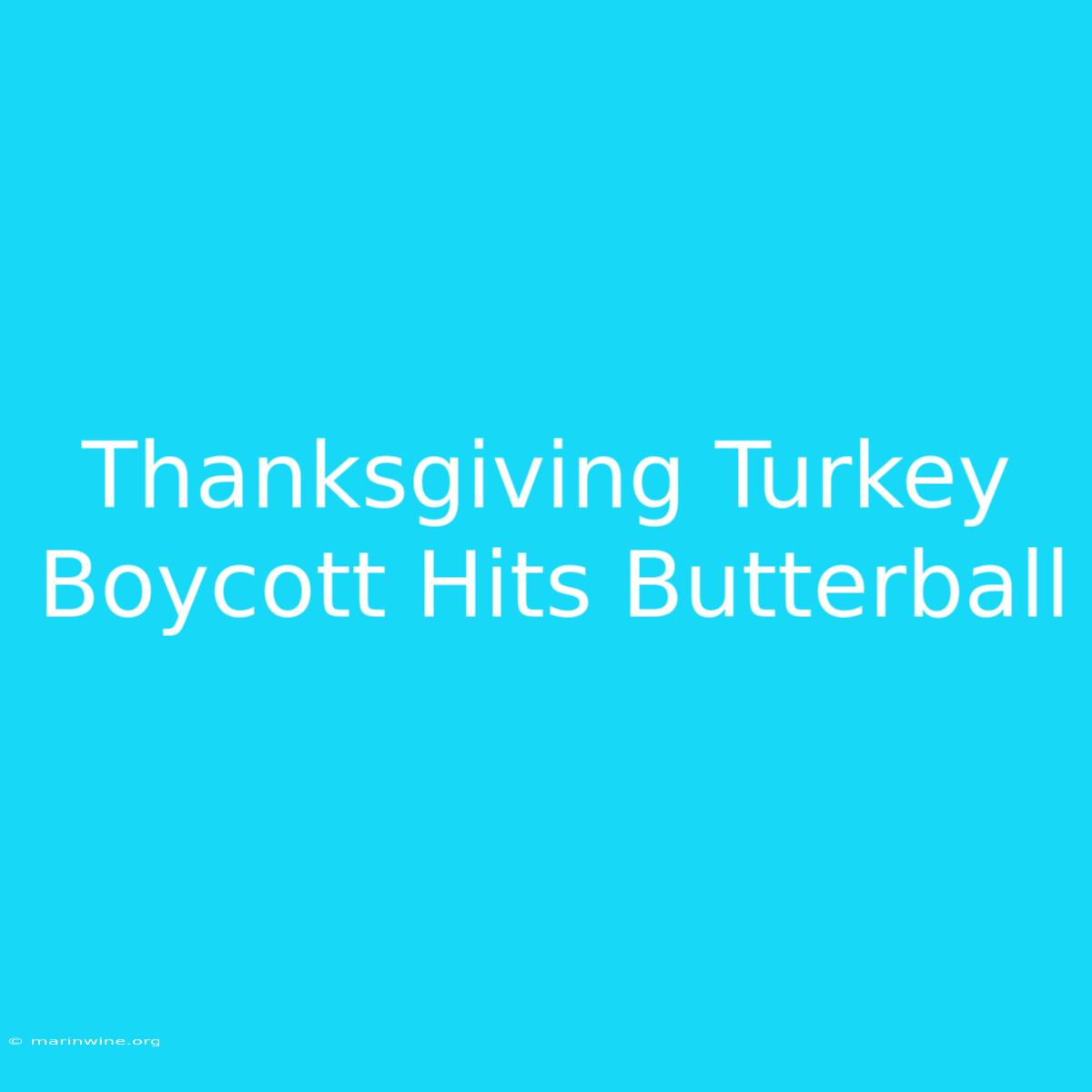 Thanksgiving Turkey Boycott Hits Butterball