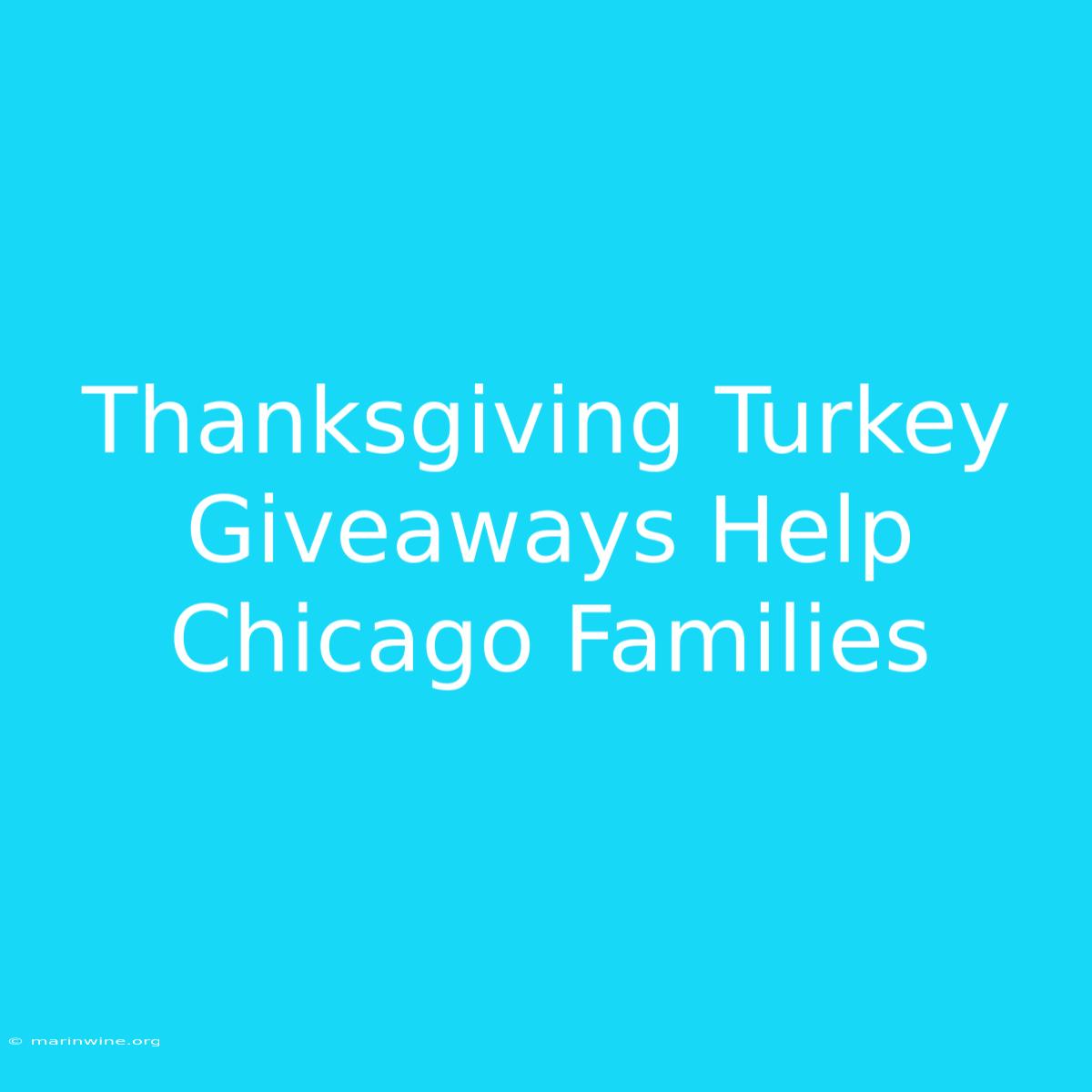 Thanksgiving Turkey Giveaways Help Chicago Families