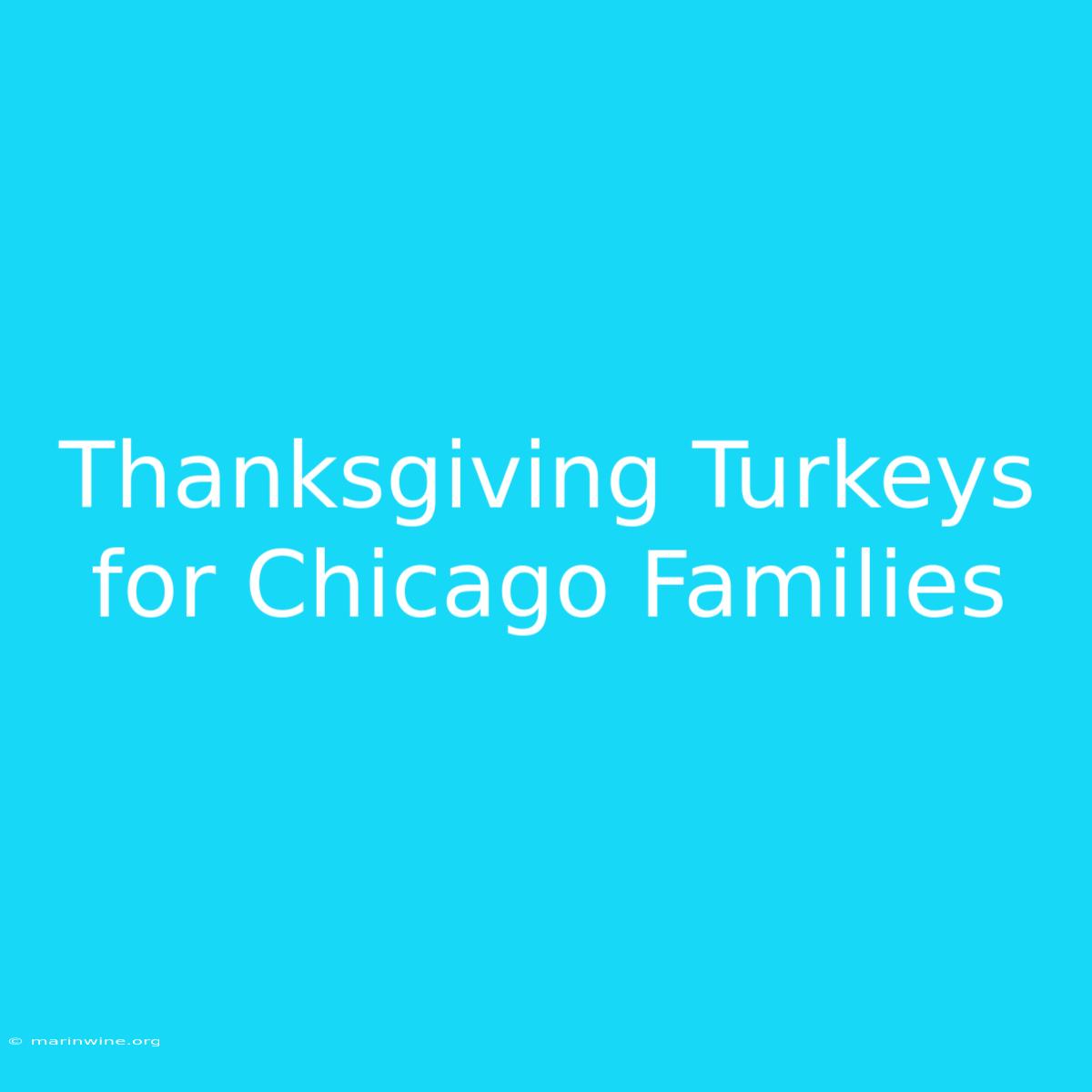 Thanksgiving Turkeys For Chicago Families