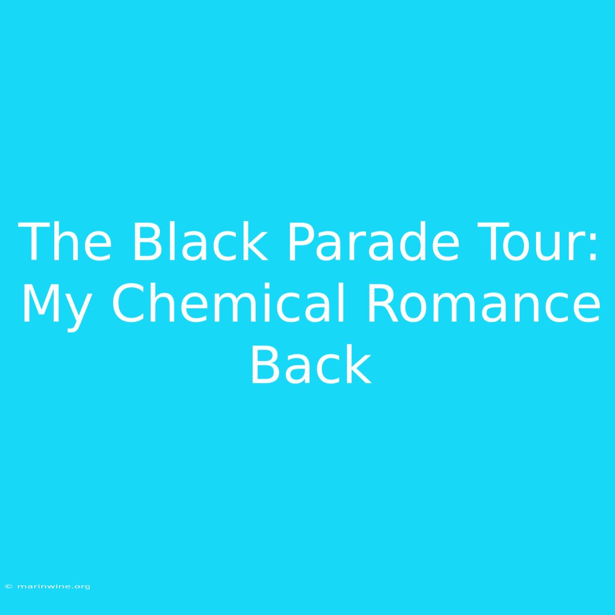 The Black Parade Tour: My Chemical Romance Back