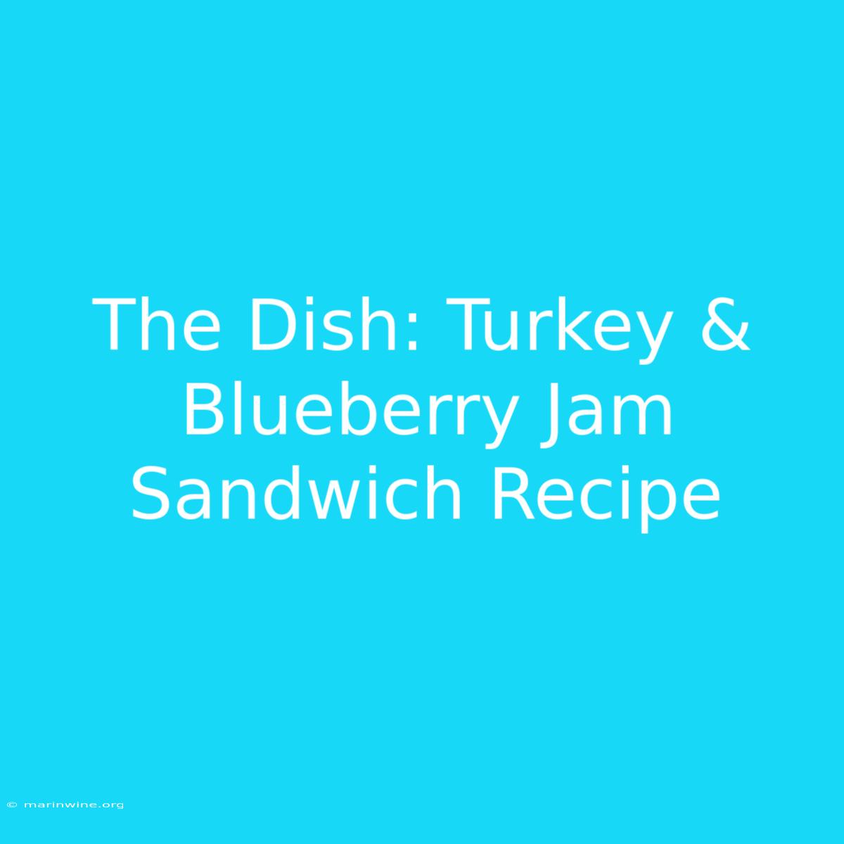 The Dish: Turkey & Blueberry Jam Sandwich Recipe