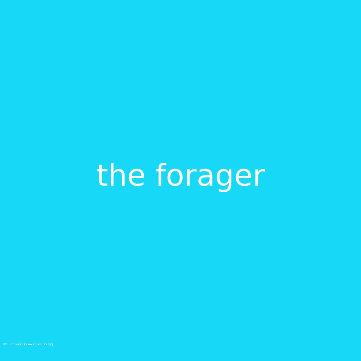 The Forager