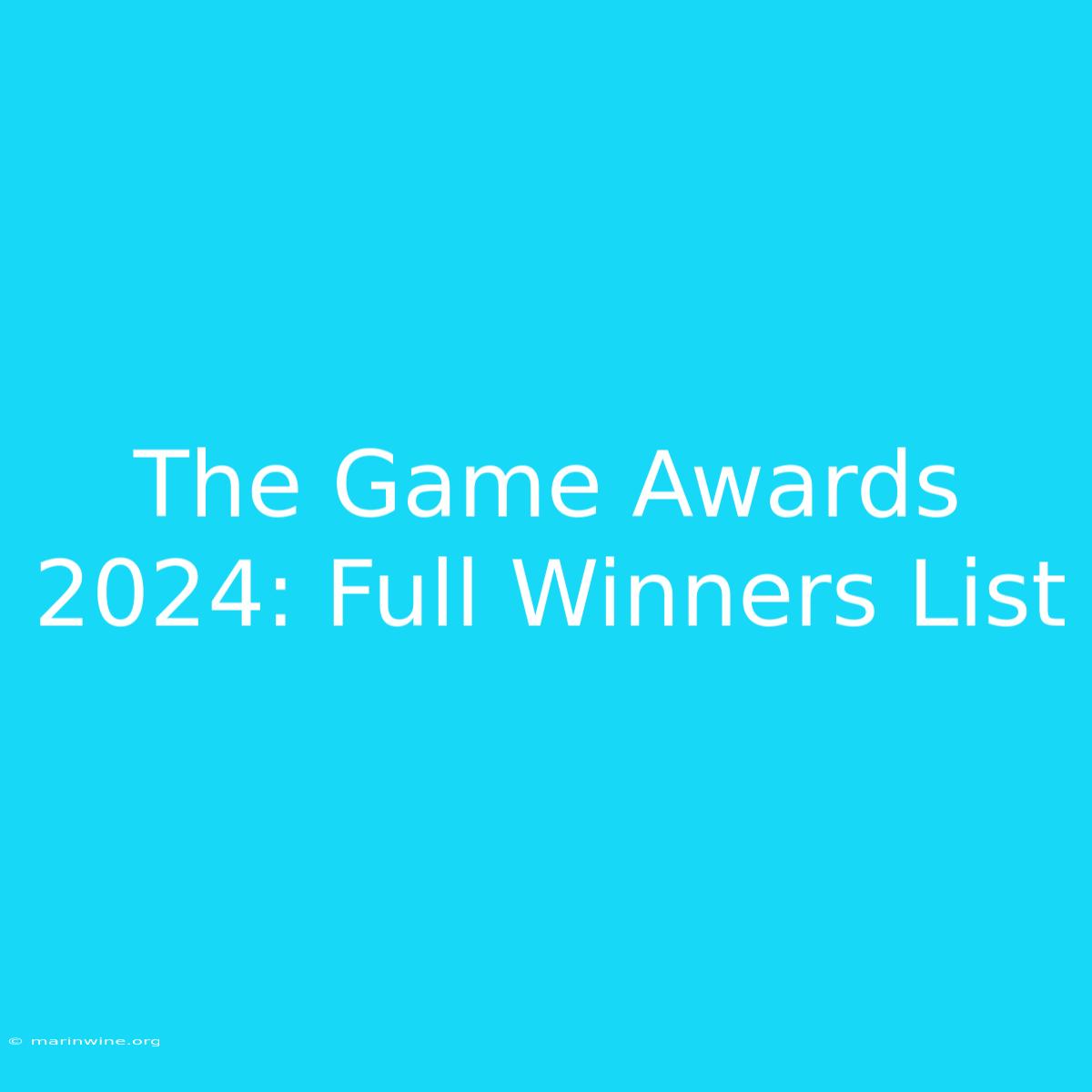 The Game Awards 2024: Full Winners List