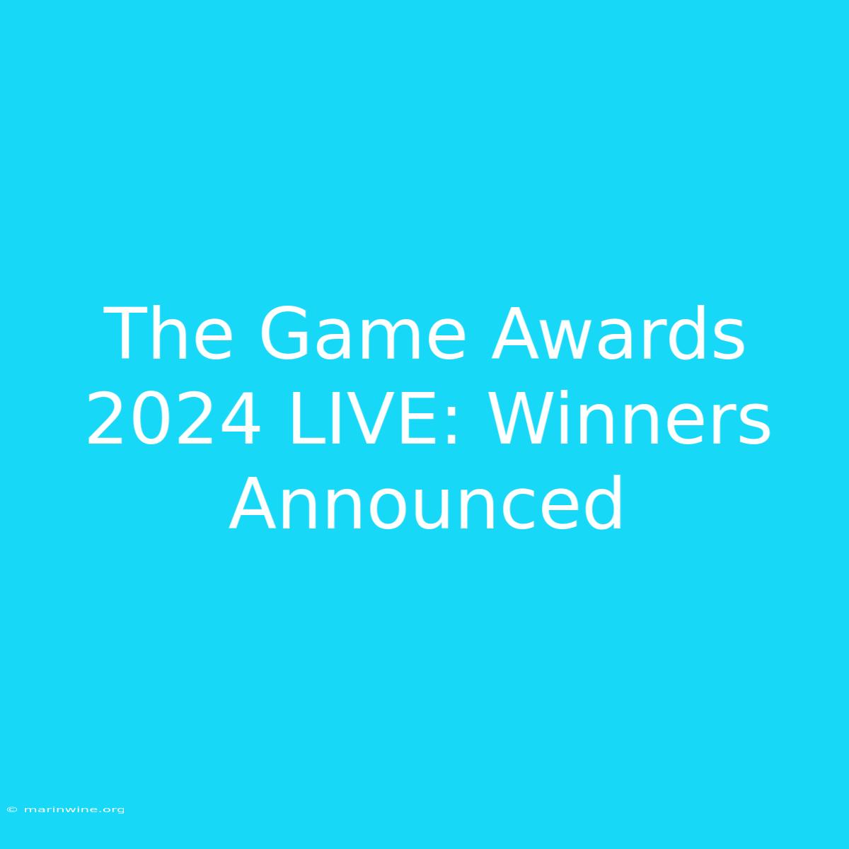 The Game Awards 2024 LIVE: Winners Announced