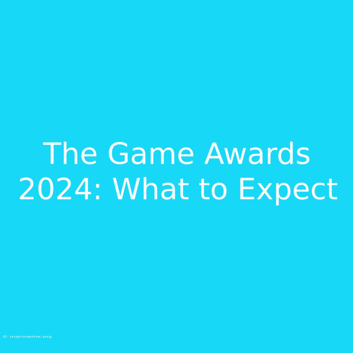 The Game Awards 2024: What To Expect