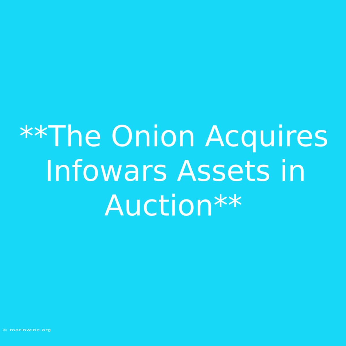 **The Onion Acquires Infowars Assets In Auction**