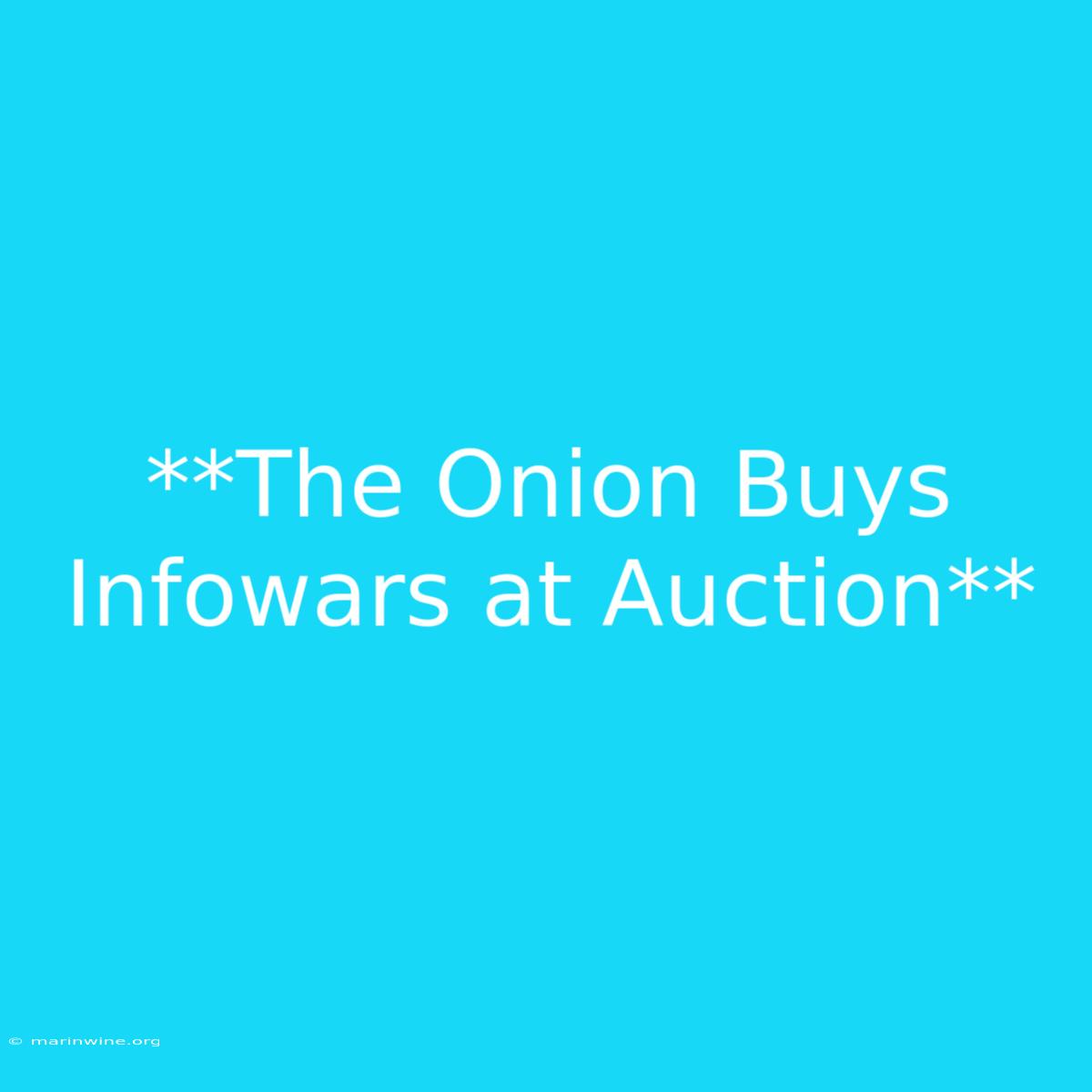 **The Onion Buys Infowars At Auction** 