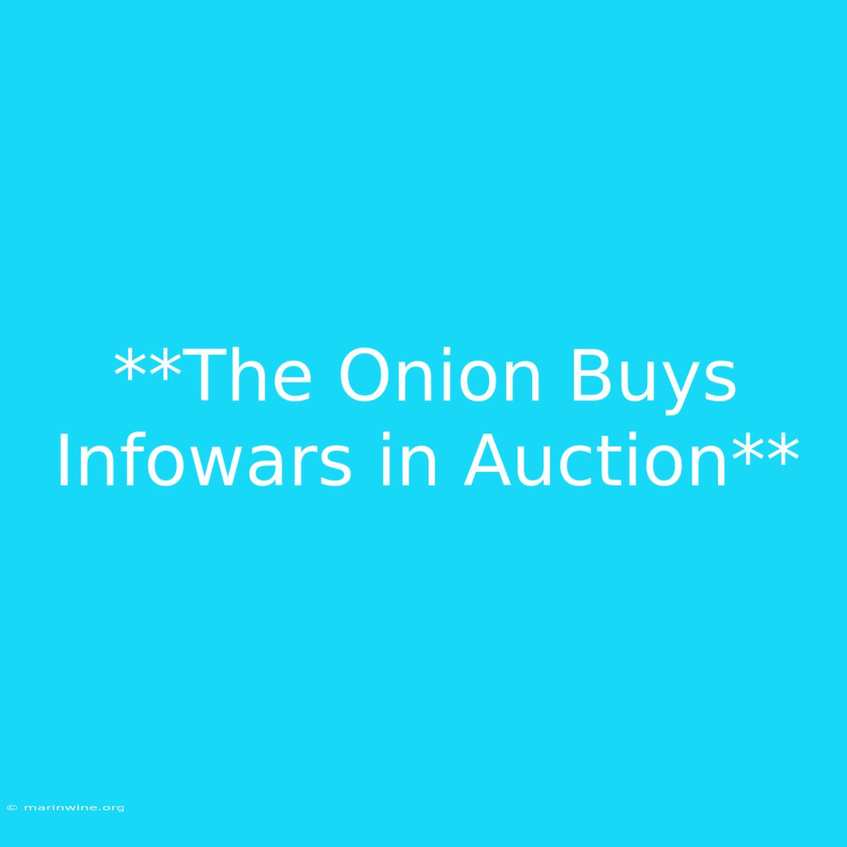 **The Onion Buys Infowars In Auction** 