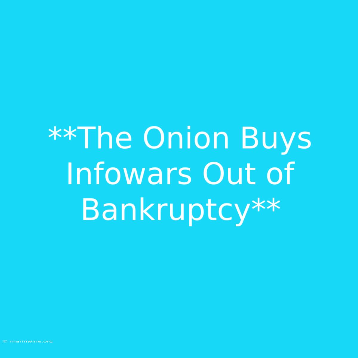 **The Onion Buys Infowars Out Of Bankruptcy** 