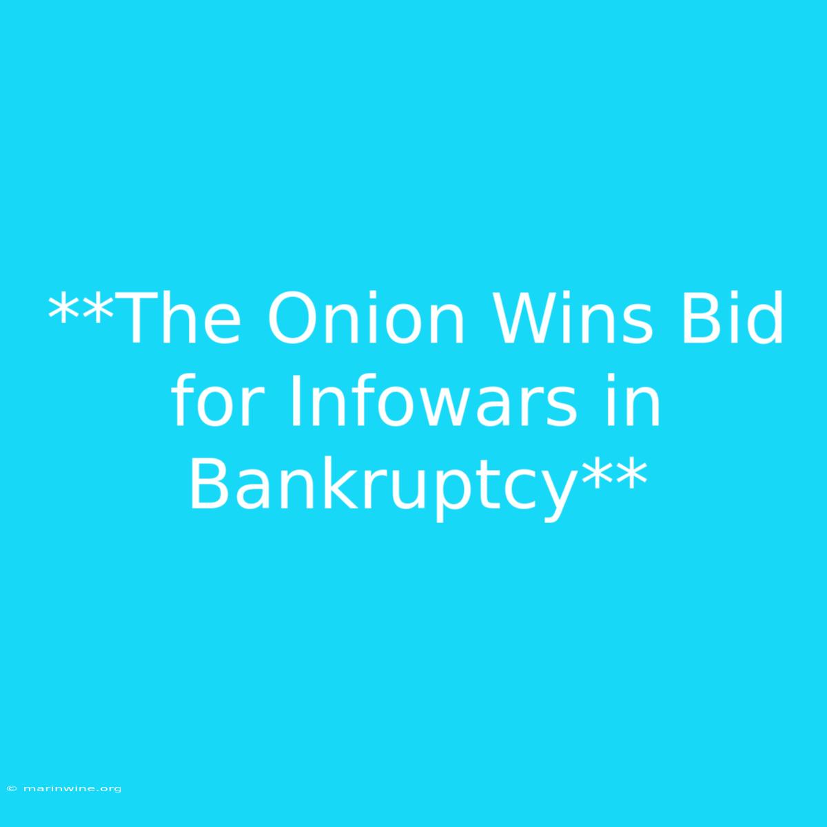 **The Onion Wins Bid For Infowars In Bankruptcy** 