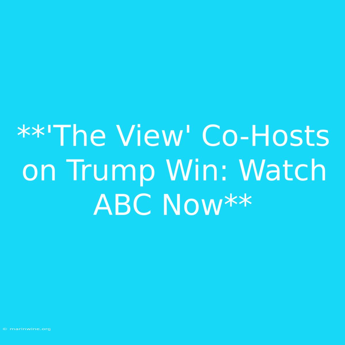 **'The View' Co-Hosts On Trump Win: Watch ABC Now** 