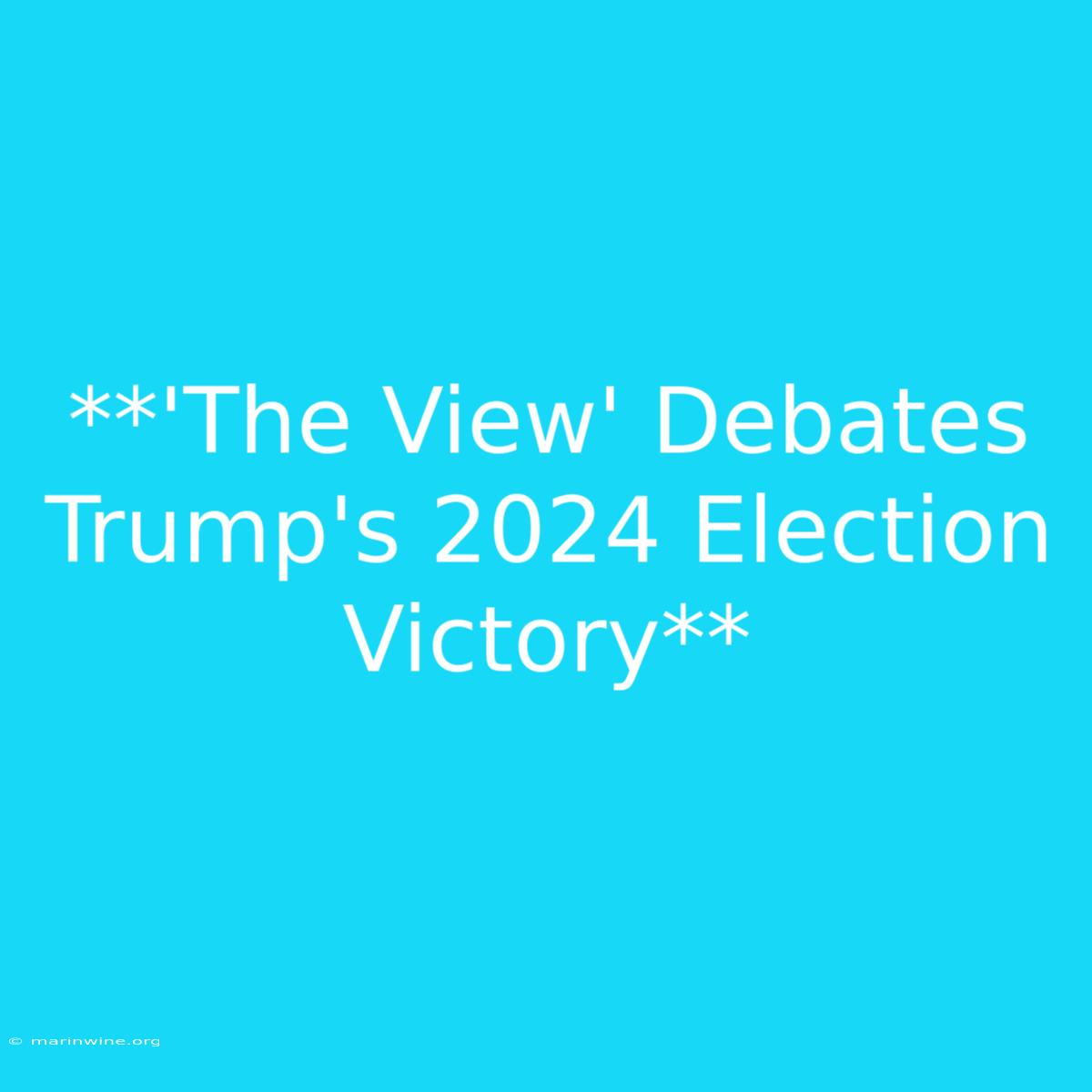 **'The View' Debates Trump's 2024 Election Victory** 